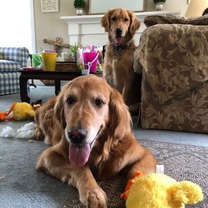 Meet your Posher, Mary